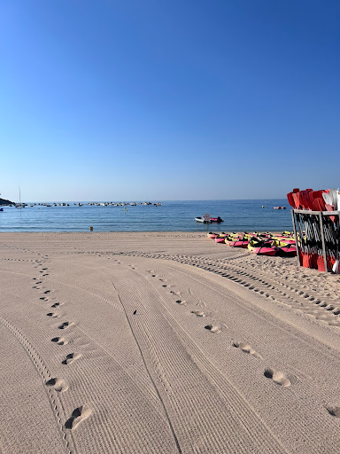 media thumbnail 5
